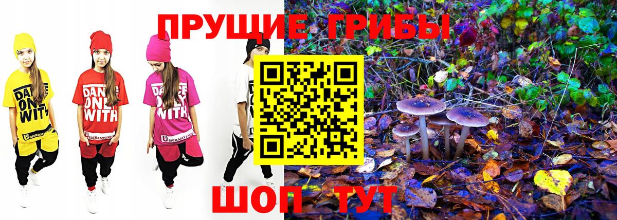 Псилоцибиновые грибы прущие грибы  Вход с VPN  Кострома 